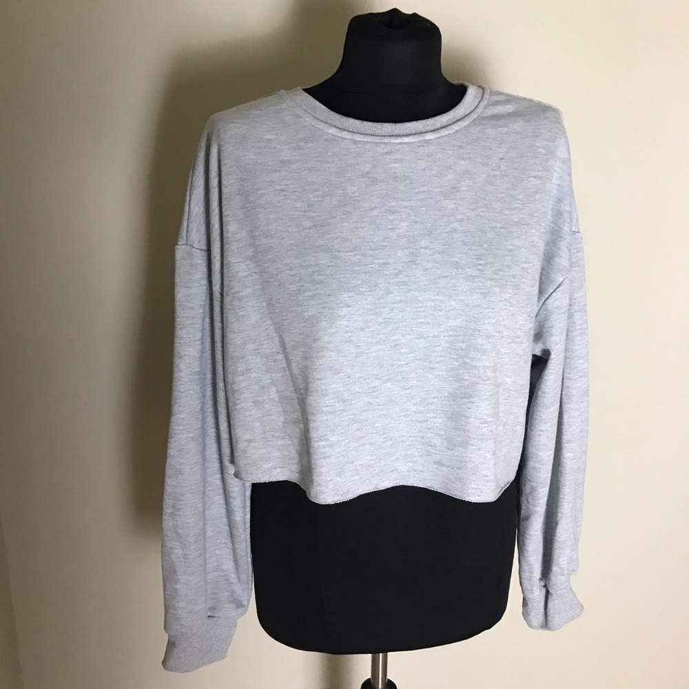 Gray Cropped Sweatshirt NWT - Picture 1 of 4